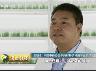 [深度財(cái)經(jīng)]種植技術(shù)的重大突破利于